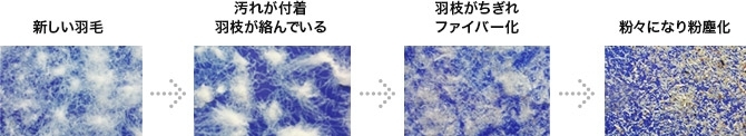 0000243597.jpg