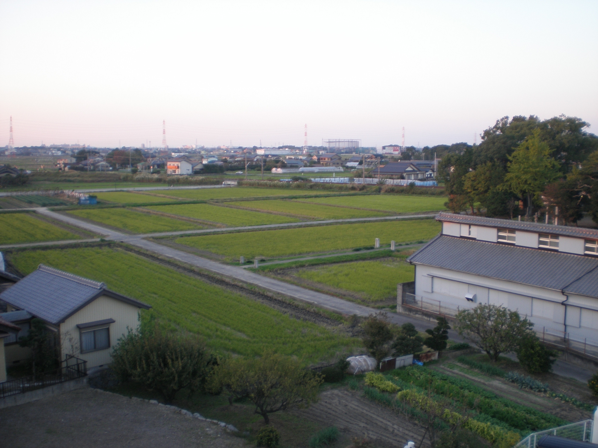 屋上風景