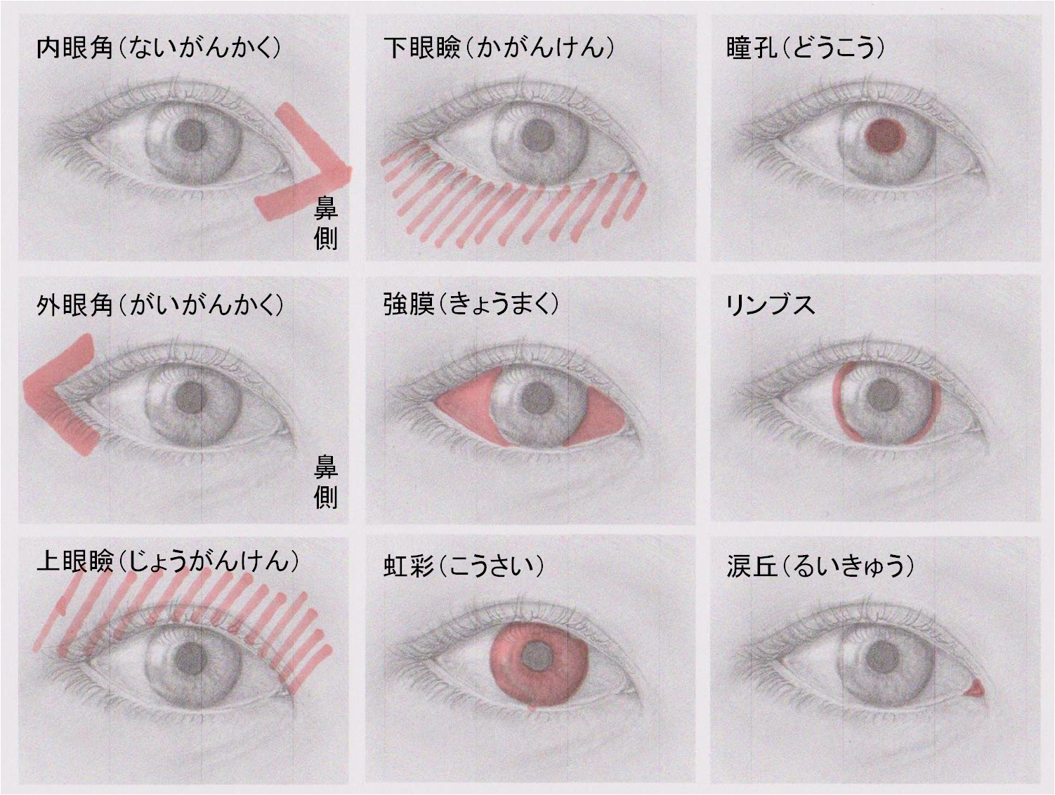 0000344423.png