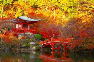 神宮司龍峰