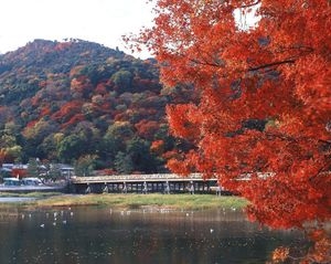 神宮司龍峰