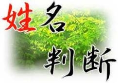 神宮司龍峰