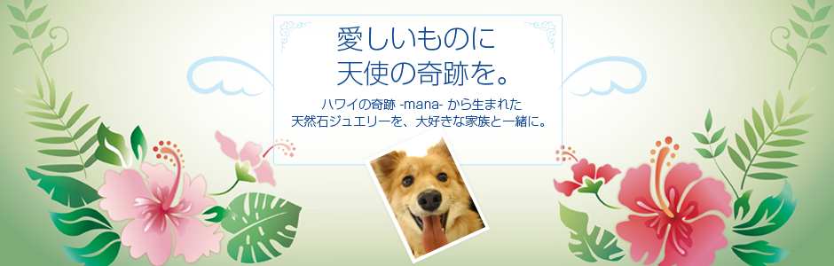 leia mana 愛しいものに天使の奇跡を。