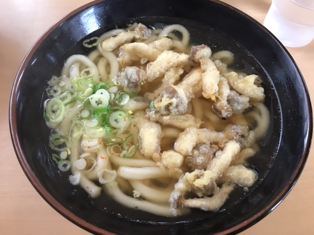 ごぼう天うどん