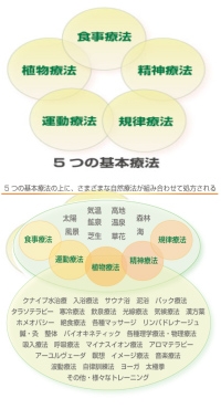5つの基本療法