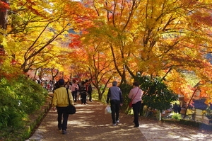 神宮司龍峰
