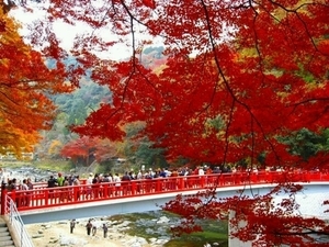 神宮司龍峰