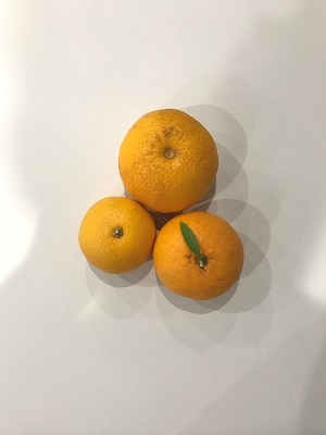 0000452940.jpg