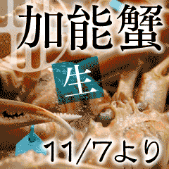 加能蟹!香箱蟹!7日から店に並びます