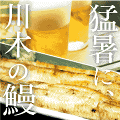 8/1は土用の二の丑の日!
お盆も休まず営業!!