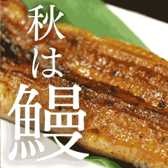 モーレツ猛暑の疲れを鰻で回復!!!