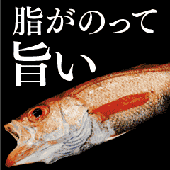 秋本番魚がおいしい季節です☆10/31うなぎ供養の日で定休