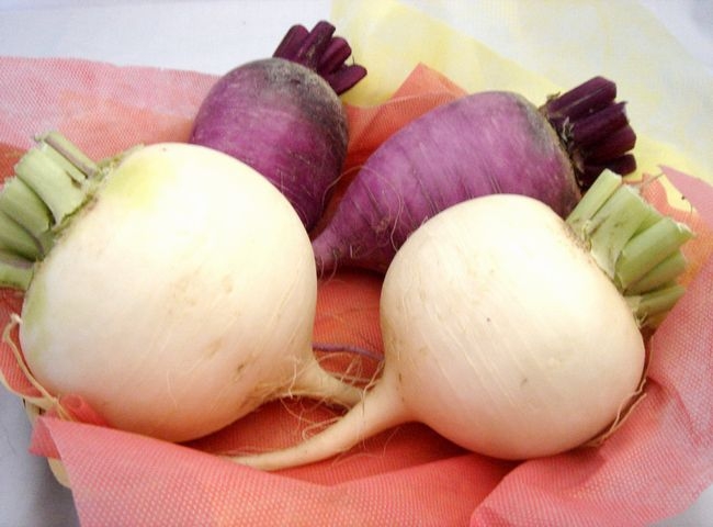 辛味大根