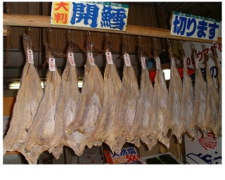 2017 新物 開鱈 入荷しました。