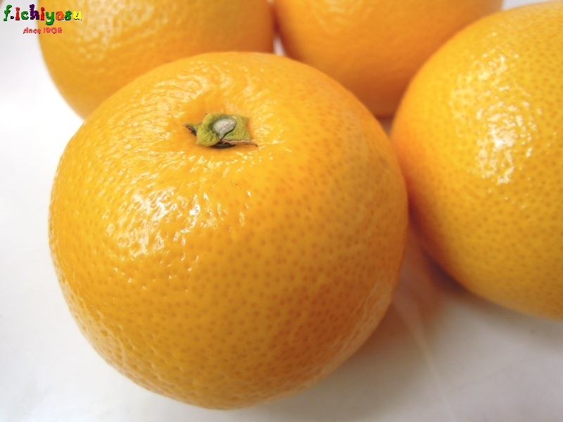 明けましておめでとうございます ♪
Today’s Fruits ♪
