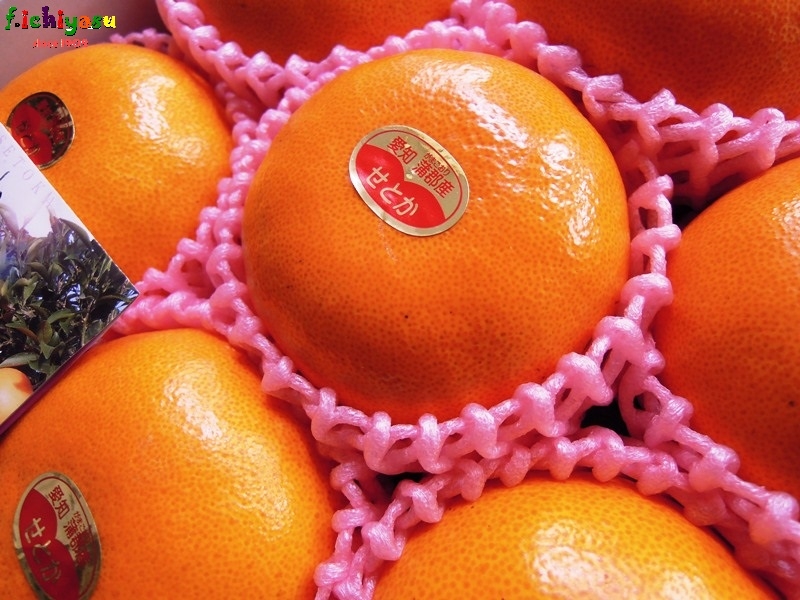 蒲郡柑橘の「温室栽培 せとか」
Today’s Fruits ♪