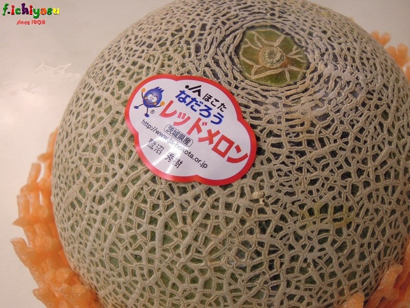 赤肉メロンのカット売り始めました (^^)v
Today’s Fruits ♪
