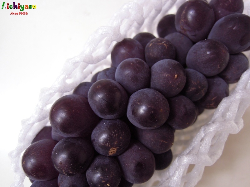 山梨の「キングデラ」も有るよ (^^♪
Today’s Fruits ♪
