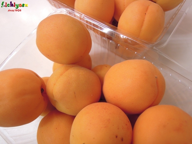 「氷室のあんず」
Today’s Fruits ♪