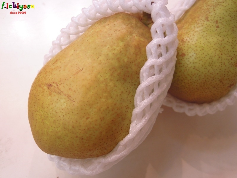 山形産の洋梨「マルゲリットマリーラ」
Today’s Fruits ♪