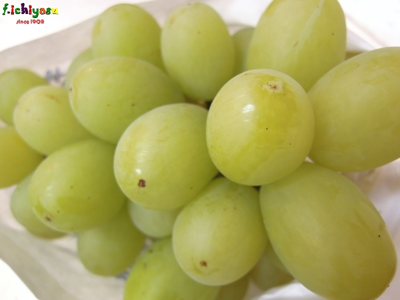 これは美味い!「翠峰」
Today’s Fruits ♪