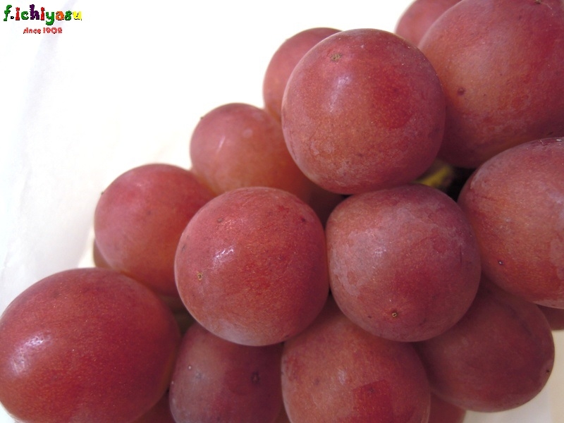 思わず笑顔が溢れる…「シナノスマイル」
Today’s Fruits ♪