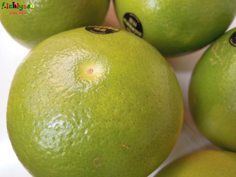 美味しい「メローゴールド」
Today’s Fruits ♪