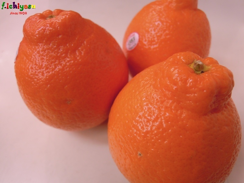 「ミネオラ」と覚えてね (^^♪
Today’s Fruits ♪