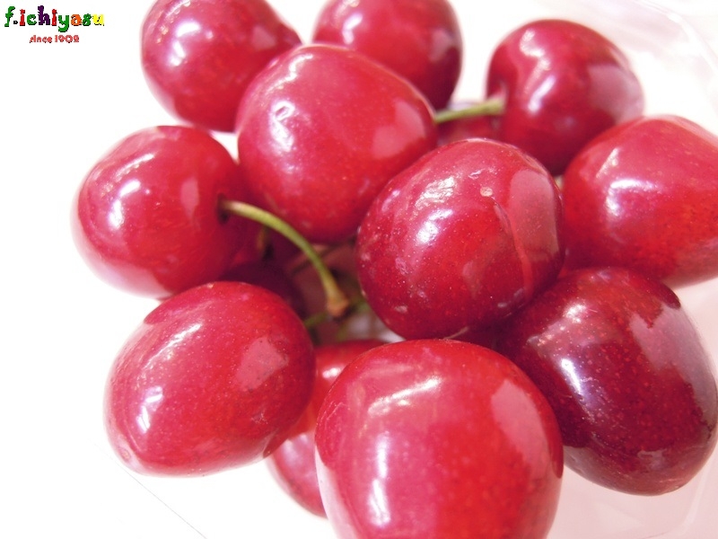 温室栽培のさくらんぼ「山形美人」
Today’s Fruits ♪