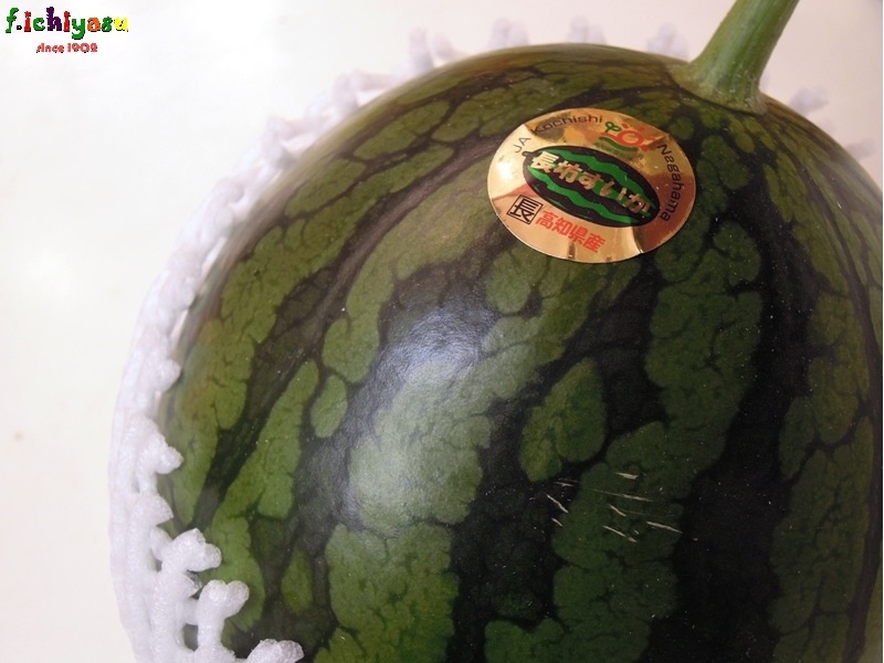 美味しい「長坊すいか」
Today’s Fruits ♪