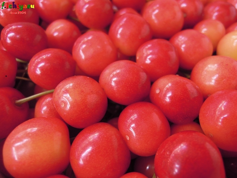 お待ちかねの「佐藤錦」登場!
Today's Fruits ♪