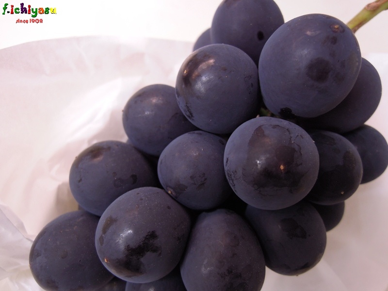 信州なかの「種なし巨峰」
Today's Fruits ♪