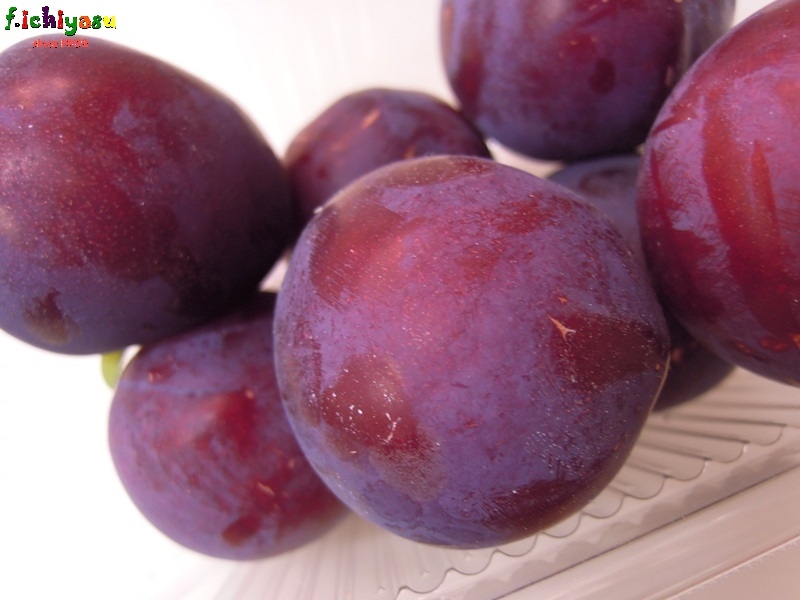 美味しいプラム「レッドビュート」
Today's Fruits ♪