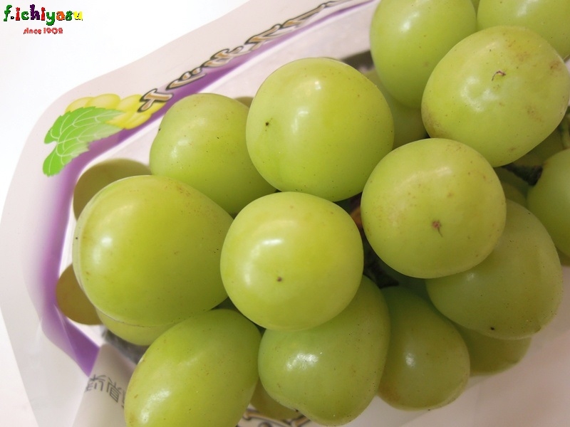 お待ちかねの「シャインマスカット」
Today's Fruits ♪