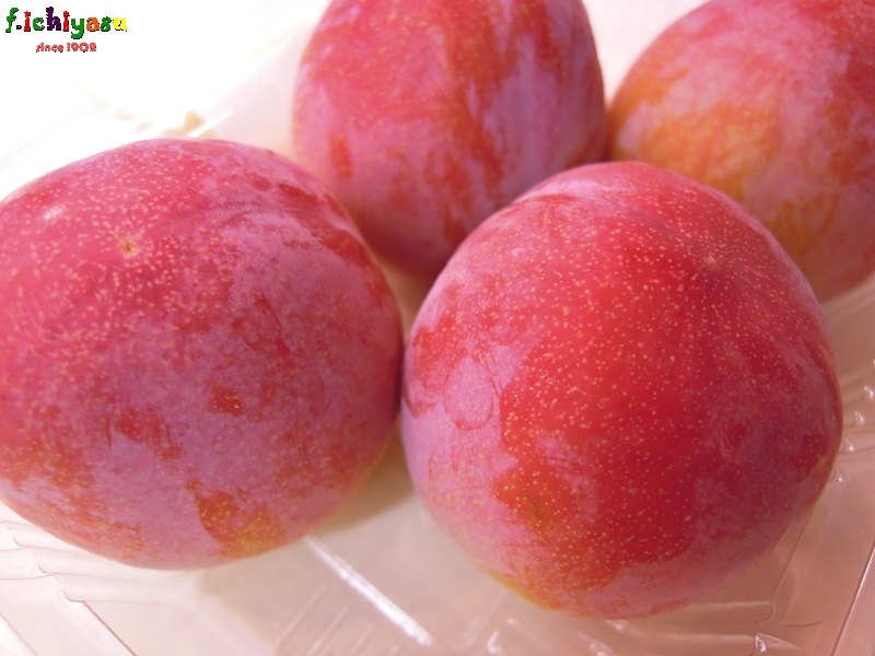 美味しいプラム「サマーエンジェル」
Today's Fruits ♪