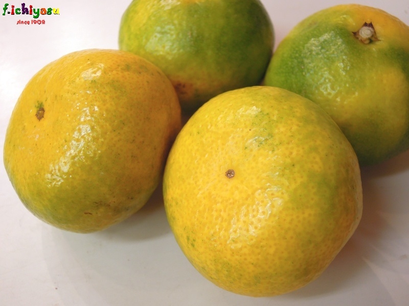 福岡・山川みかんの「日南の姫」
Today's Fruits ♪