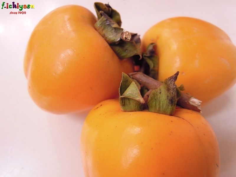 干柿作りに最適な「枝付き 西条柿」
Today’s Fruits ♪