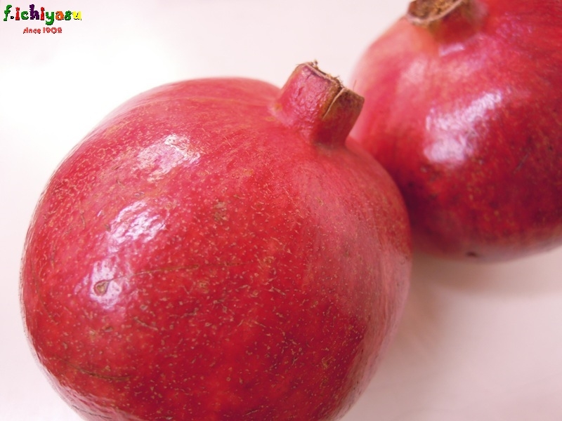 カリフォルニア産の「ザクロ」入荷しました!
Today’s Fruits ♪
