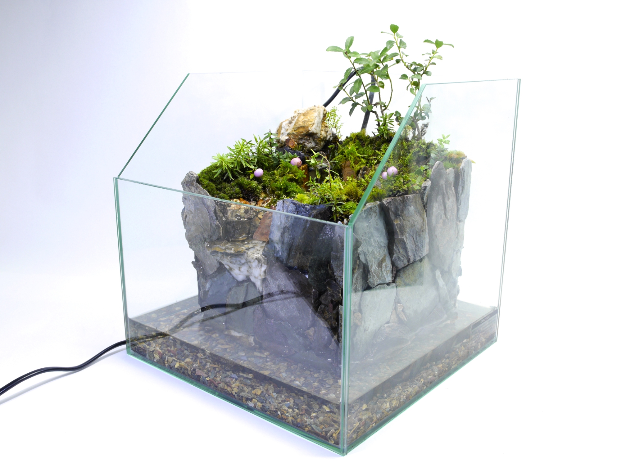 東京都、杉並区のアクアテラリウム専門店、ATERA（アテラ）(株)アテラリサーチ