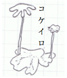 0000101683.png