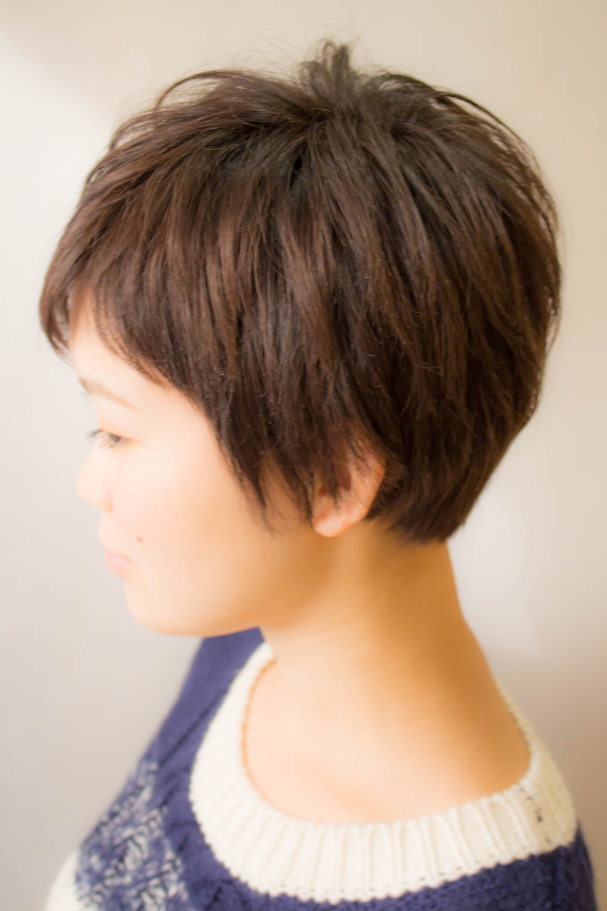 カタログ ショート