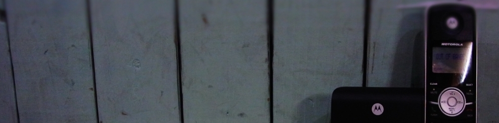 0000240351.jpg