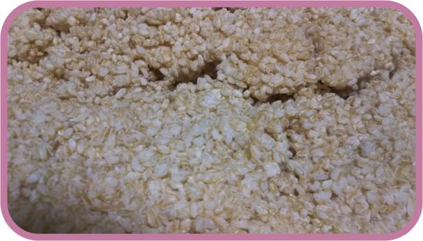 玄米麹 固まり 枠付き