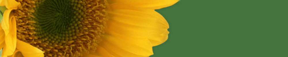 季節1_グリーン